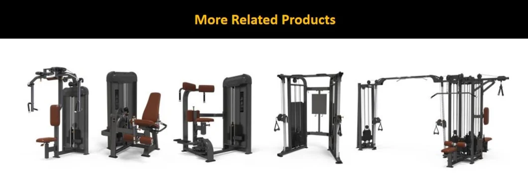 Wholesale Selectorized Seated Row Machine Select Exercise /Commercial Gym/Fitness Equipment Price for Strength/Gym/Sports Equipment