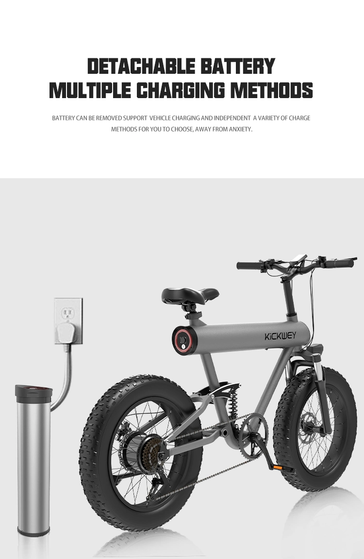 Hot Selling E-Bike Pedal Electric Bike Mobility Ebike for Adult