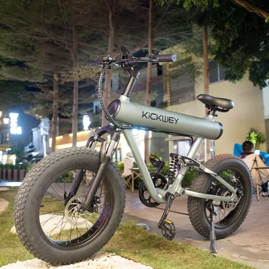 ホットセール電動自転車ペダル電動自転車モビリティバイク大人用